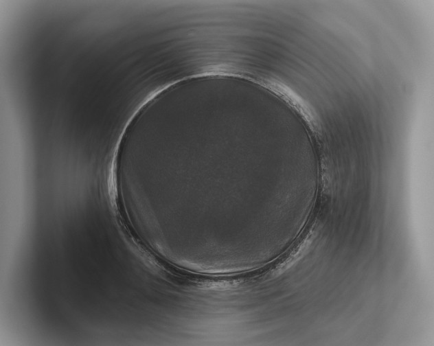 X0000101450892200807211310