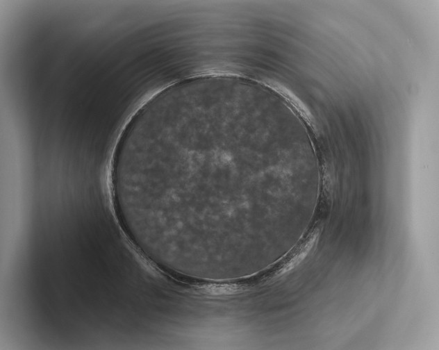 X0000101450893200807211310