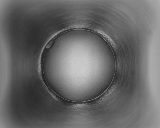 X0000101450894200807211310