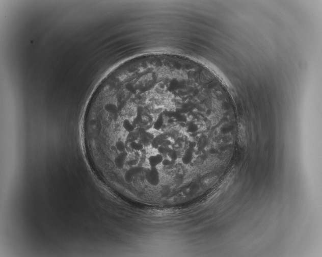 X0000101450895200807211310