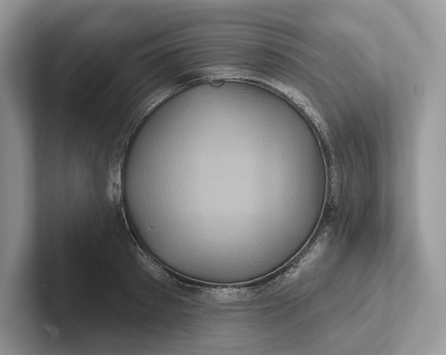 X0000101450897200807211310