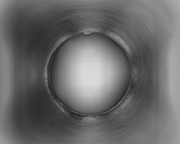 X0000101450898200807211310