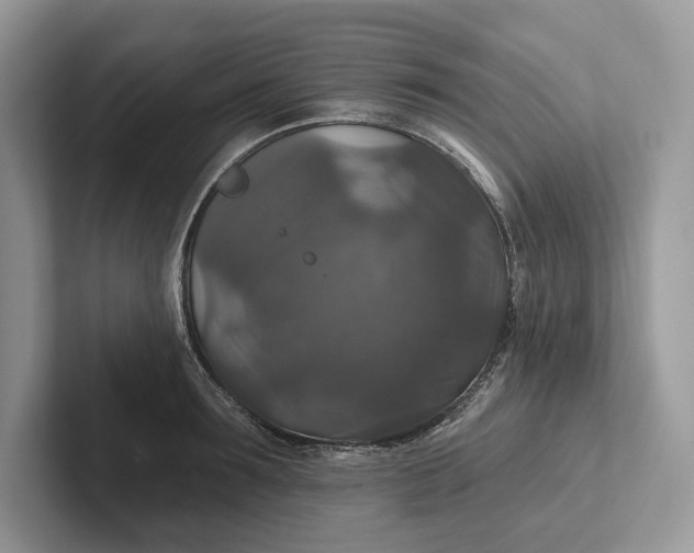 X0000101450899200807211310