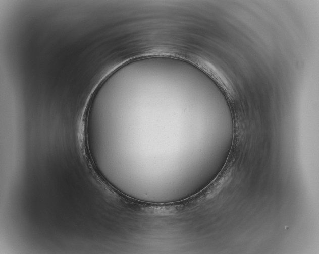 X0000101450900200807211310