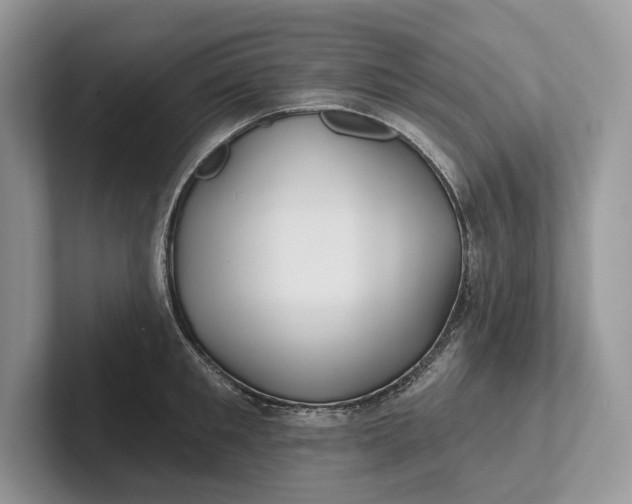 X0000101450901200807211310