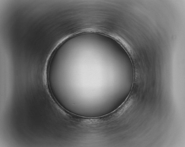 X0000101450902200807211310