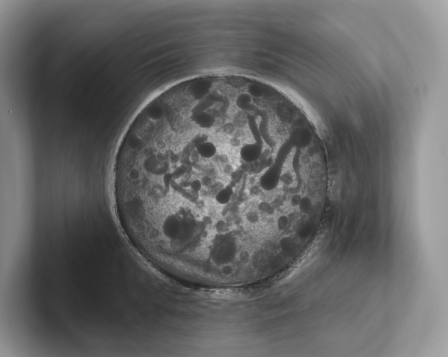 X0000101450903200807211310