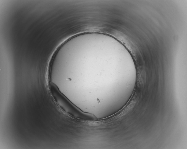 X0000101450904200807211310