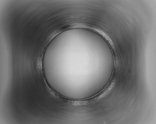 X0000101450905200807211310