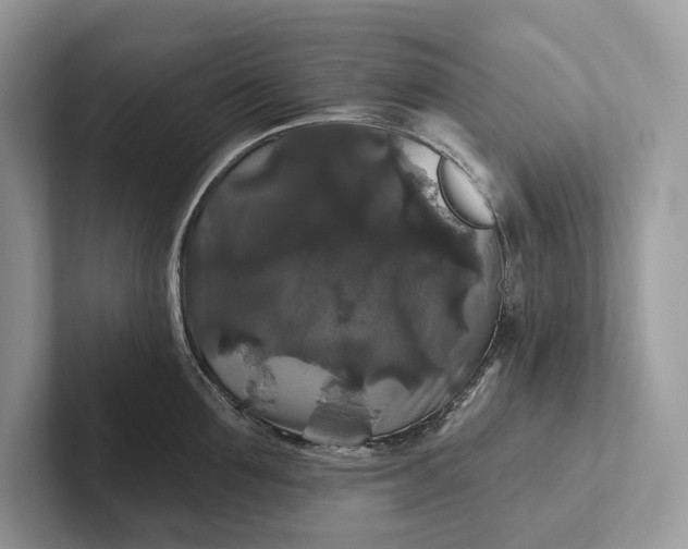 X0000101450907200807211310