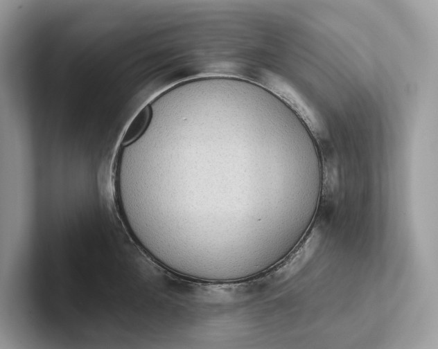 X0000101450908200807211310