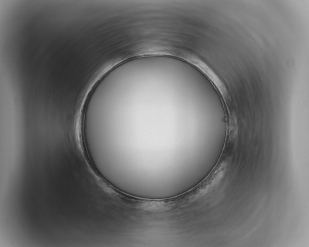 X0000101450909200807211310