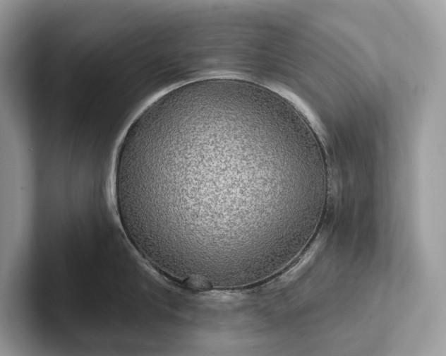 X0000101450910200807211310