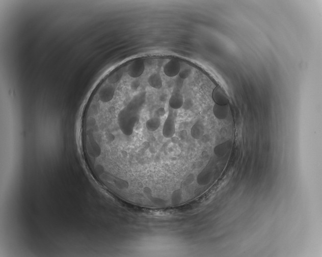 X0000101450911200807211310