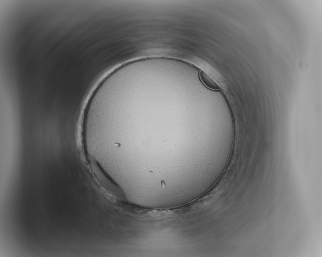 X0000101450912200807211310