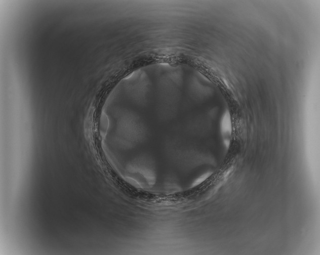 X0000101450913200807211309