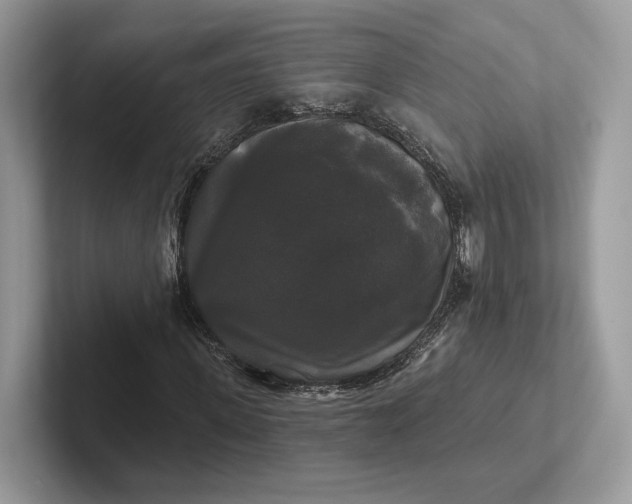 X0000101450915200807211309