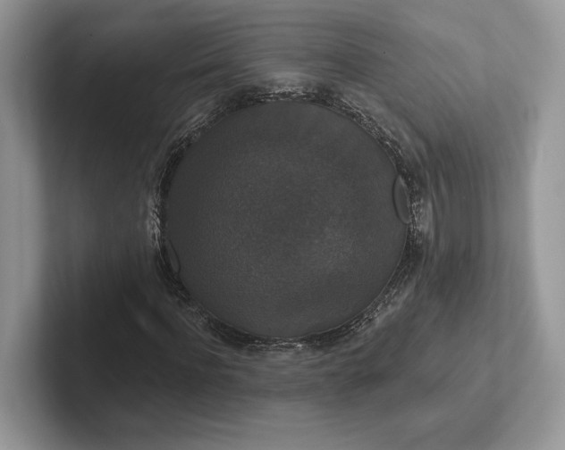 X0000101450916200807211309