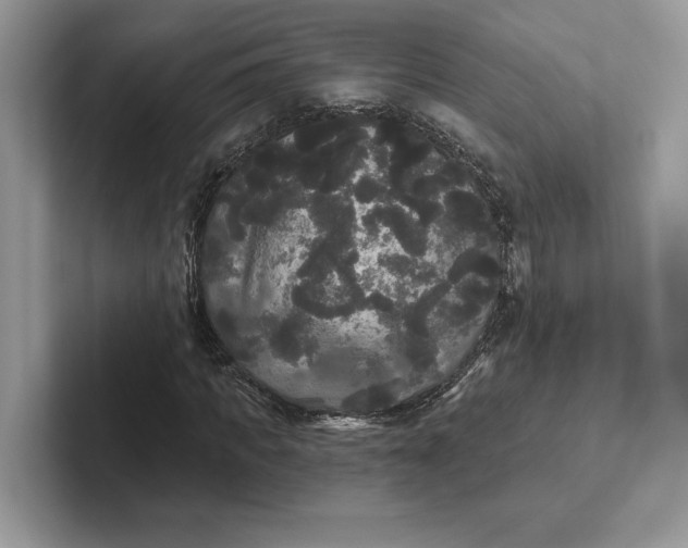 X0000101450917200807211309