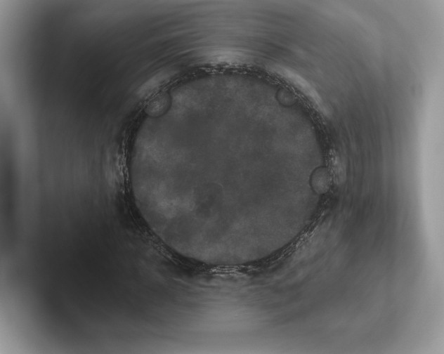 X0000101450918200807211309