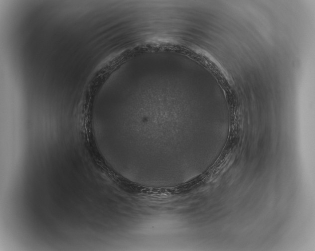 X0000101450919200807211309