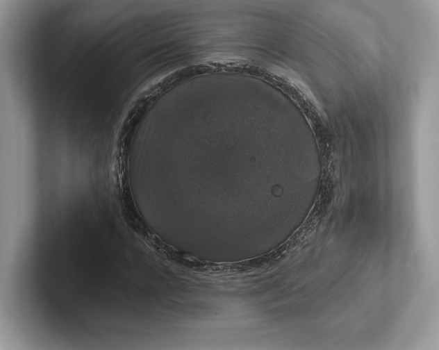 X0000101450920200807211309