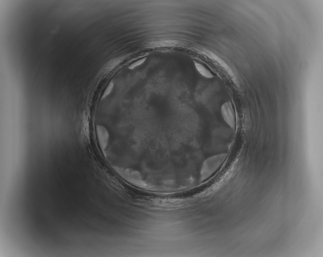 X0000101450921200807211309