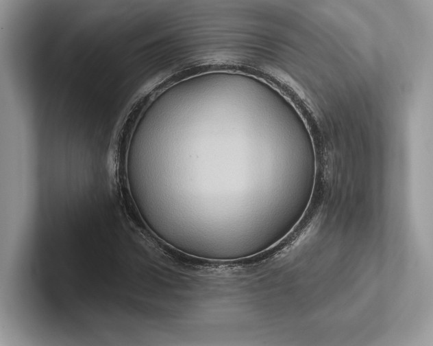 X0000101450922200807211309