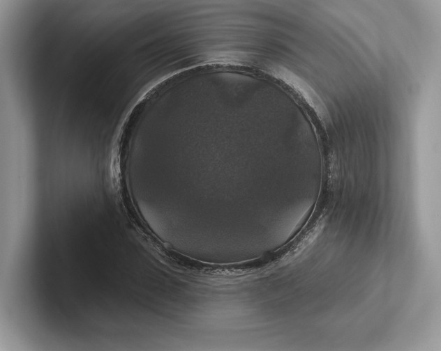 X0000101450923200807211309