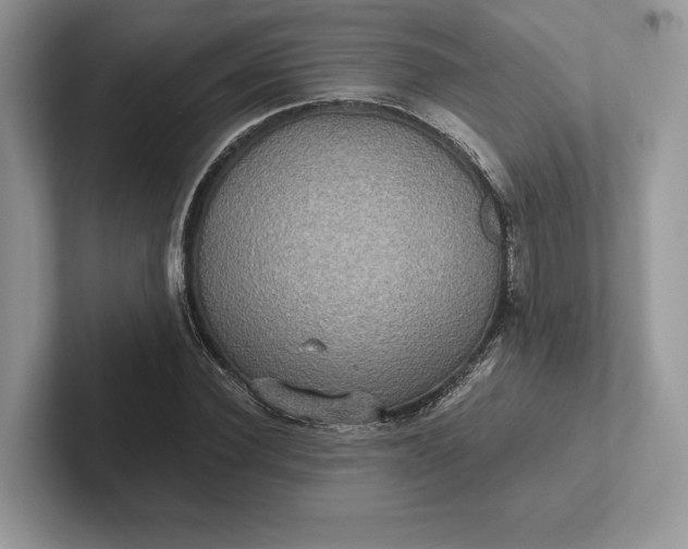 X0000101450924200807211309