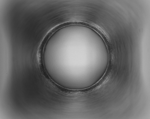 X0000101450926200807211309