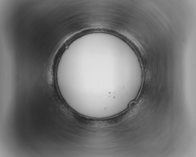 X0000101450927200807211309