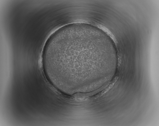 X0000101450928200807211310