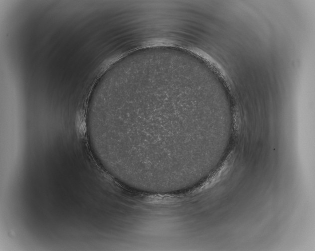 X0000101450929200807211310