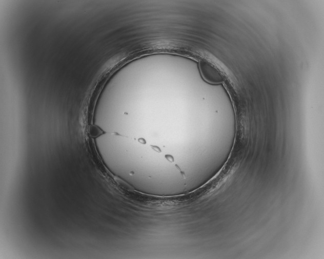 X0000101450930200807211310