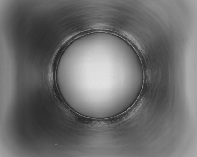 X0000101450931200807211310