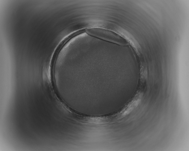 X0000101450932200807211310