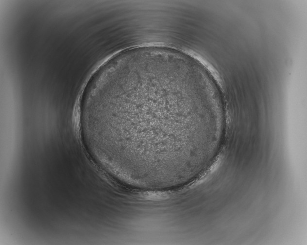 X0000101450933200807211310