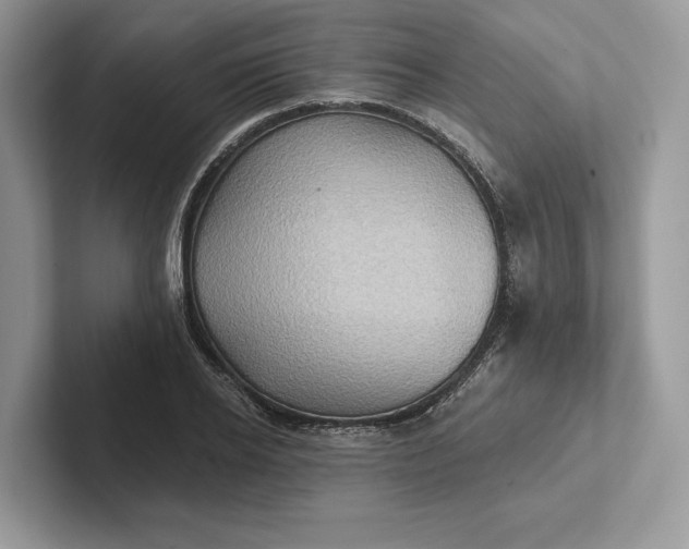 X0000101450934200807211310