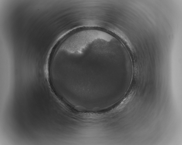 X0000101450935200807211310