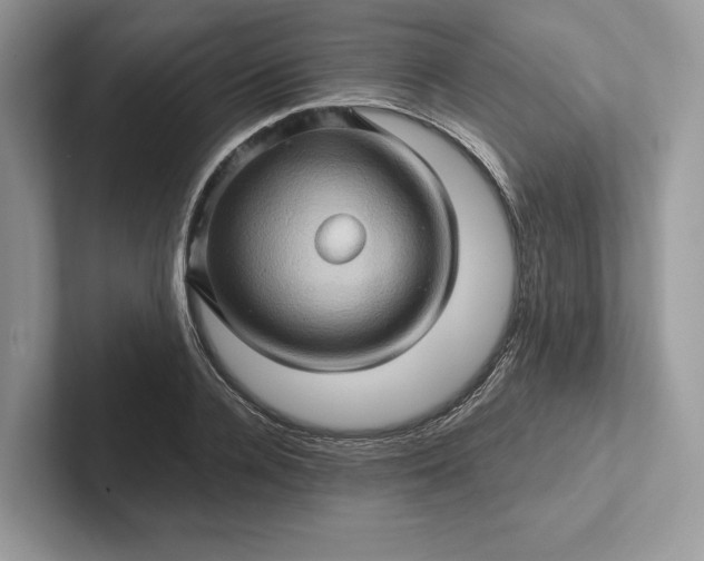 X0000101450936200807211310