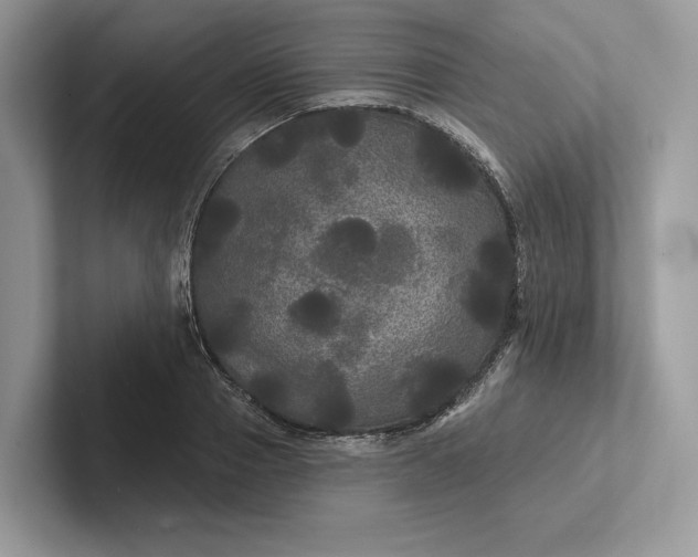 X0000101450937200807211310