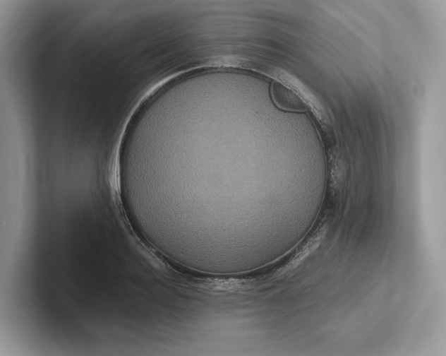 X0000101450940200807211310