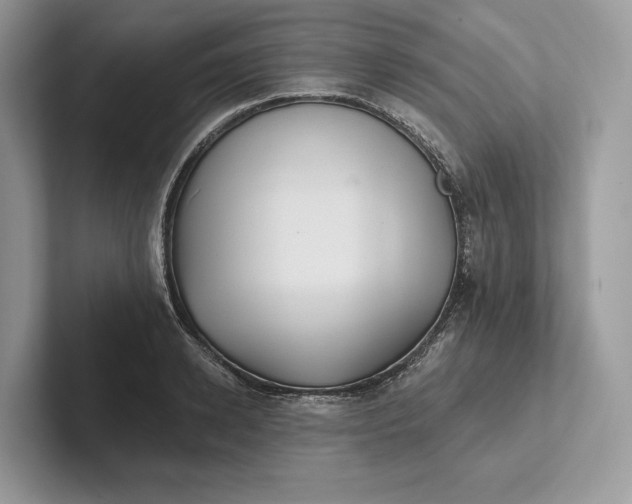 X0000101450942200807211310