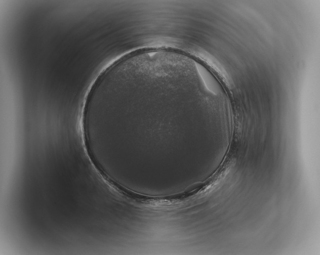 X0000101450943200807211310