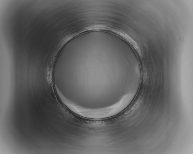 X0000101450945200807211310