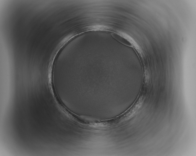 X0000101450946200807211310