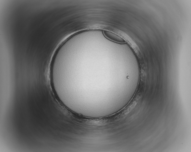 X0000101450948200807211310