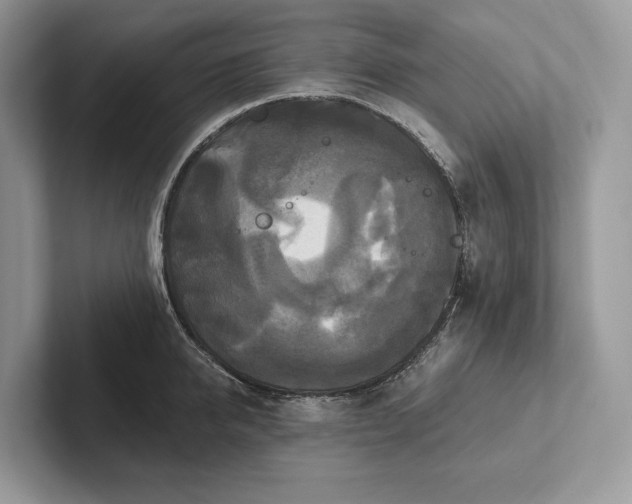 X0000101450950200807211310