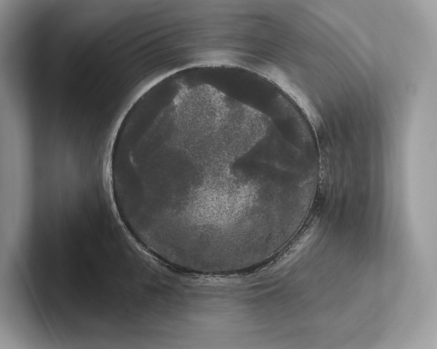 X0000101450951200807211310